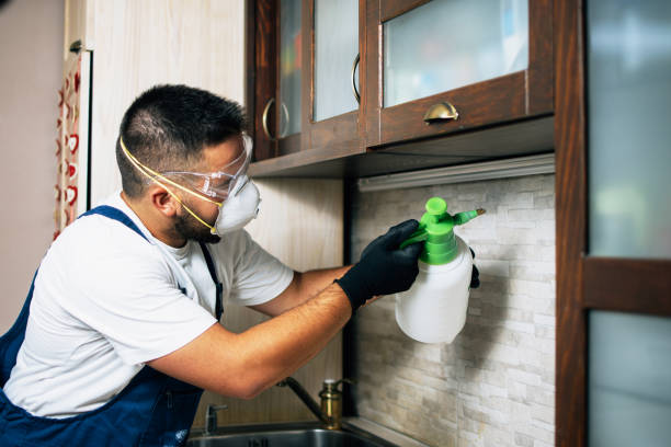Best Emergency Pest Control  in Lansdowne, VA