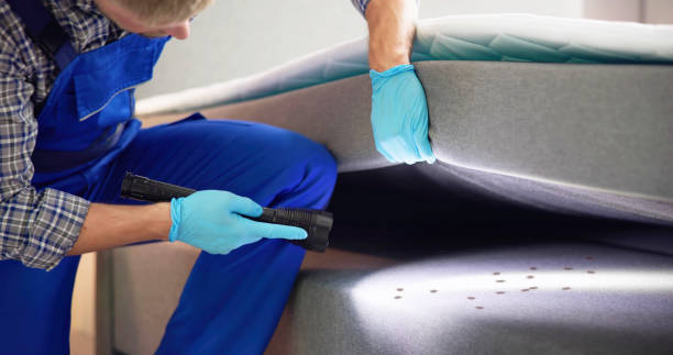 Best Best Pest Control Near Me  in Lansdowne, VA