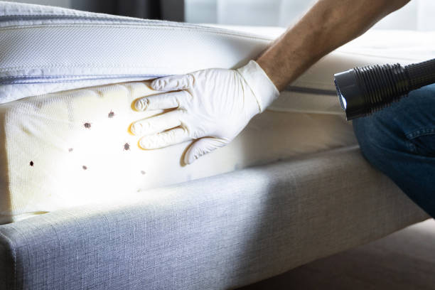 Best Bed Bug Extermination  in Lansdowne, VA