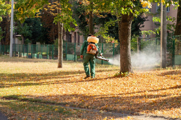 Best Flea Control Services  in Lansdowne, VA