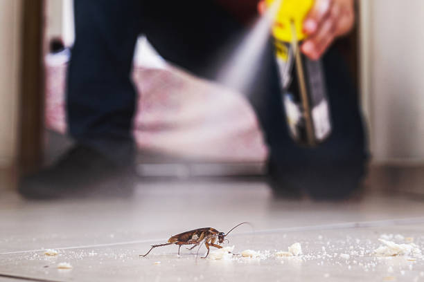 Best Wasp Removal Services  in Lansdowne, VA